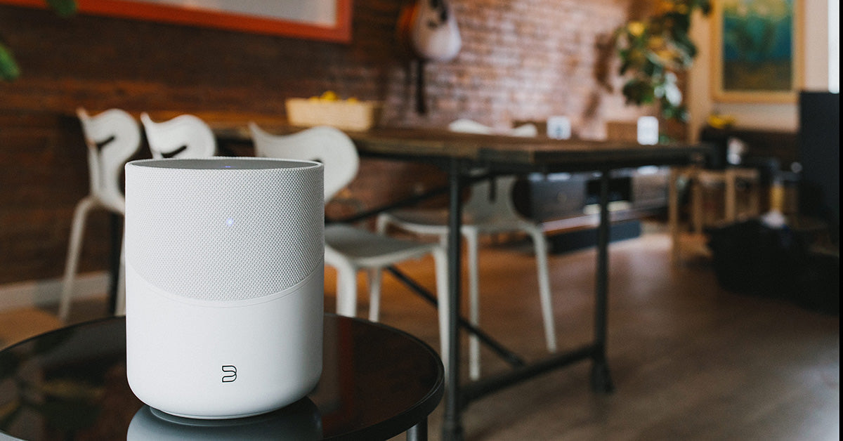Bluesound PULSE-M wireless speaker