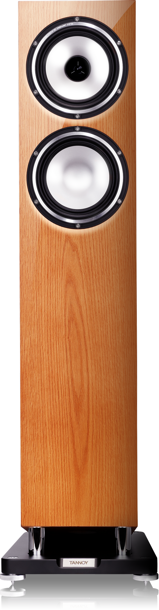 Tannoy 2024 revolution xt6f